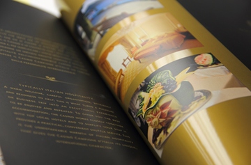 ورنی واتربیس