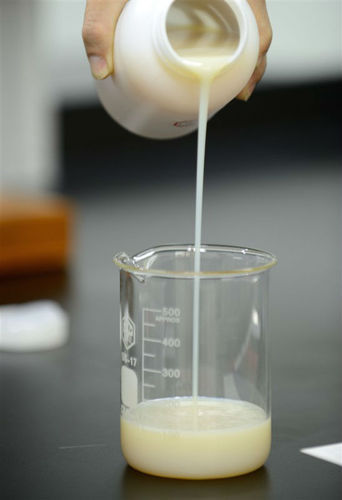 ورنی واتربیس